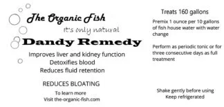 Dandy Remedy tof