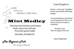 mint medley