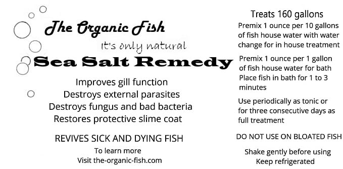Sea Salt Remedy tof