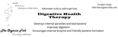digestive health