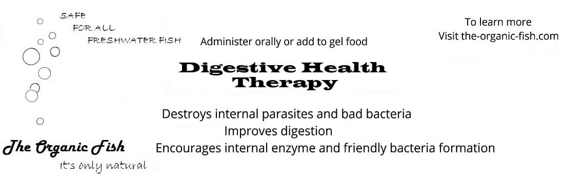 digestive health
