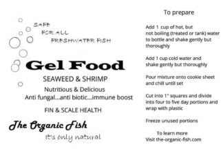 Gel food seaweed and shrimp