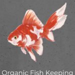 Organic Fish Keeping